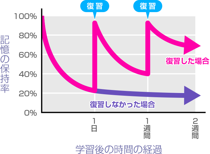 復習した場合・しなかった場合の記憶の保持率